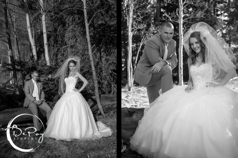 Flagstaff, Snowbowl, wedding, photographer, photography, image, DePoy Studios