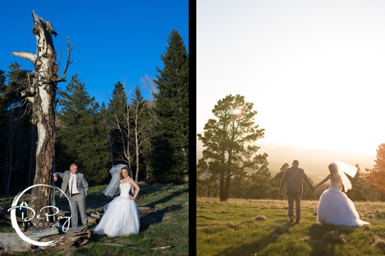 SNowbowl, wedding, photographer, photography, image, DePoy Studios, Arizona