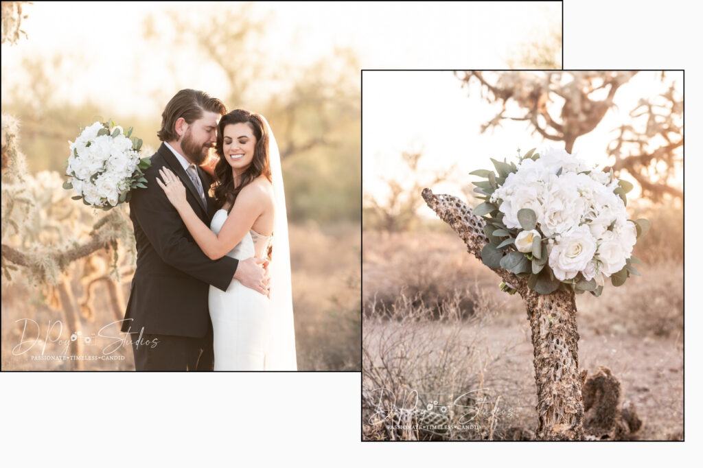 Superstition Mountain wedding Backdrop