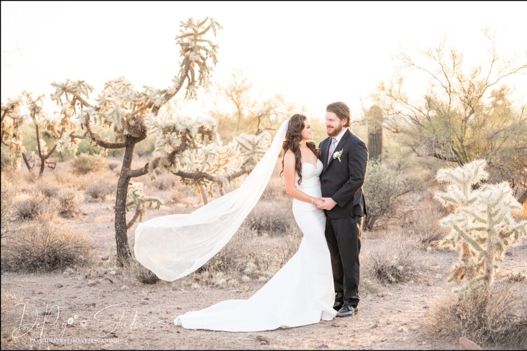 Ariona desert wedding venues, DePoy Studios wedding photographer