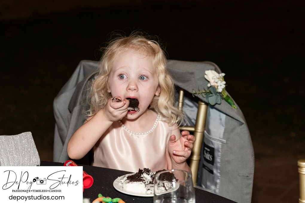 Stonebridge Manor wedding video